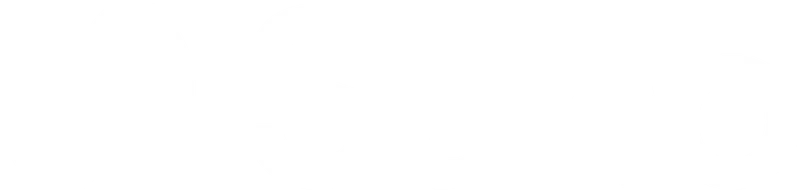 Suno
